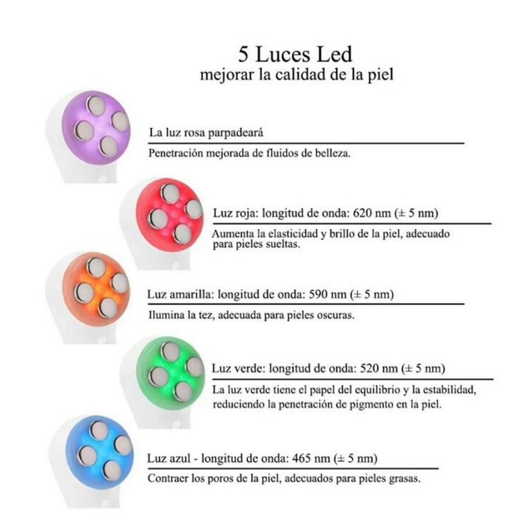 RADIO FRECUENCIA ELECTROPORADOR PORTATIL